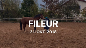 Fileur31.10.2018
