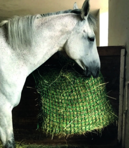 Das Pferd beißt in die Maschen und hebt das schwere Netz hoch.